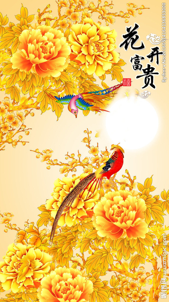 G花开富贵 背景