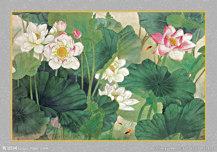 G鱼嘻荷花图莲花