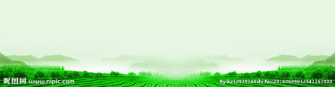 G茶山远景背景板