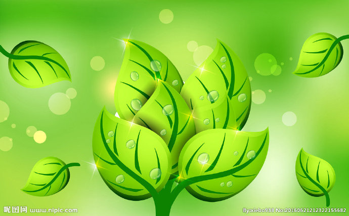 G绿色唯美树叶立