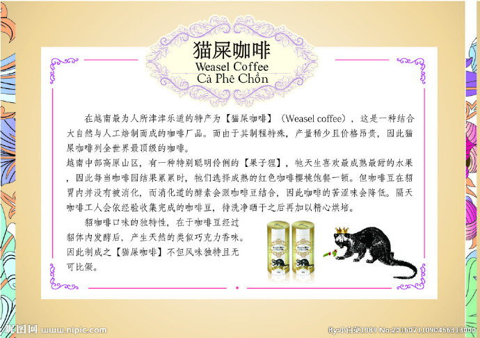 G猫屎咖啡背景墙