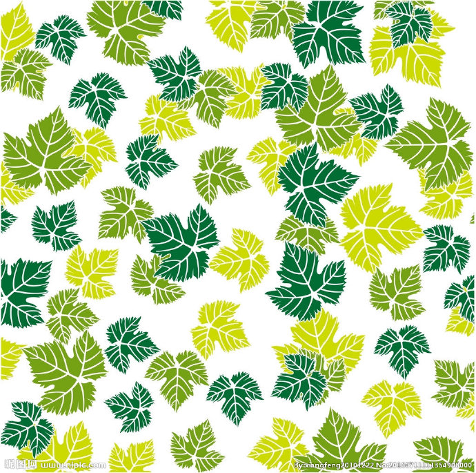 G绿色树叶背景背