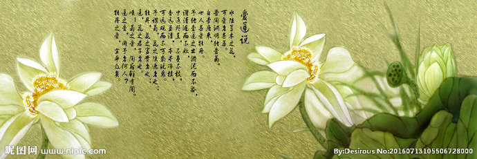 G手绘莲蓬 荷花