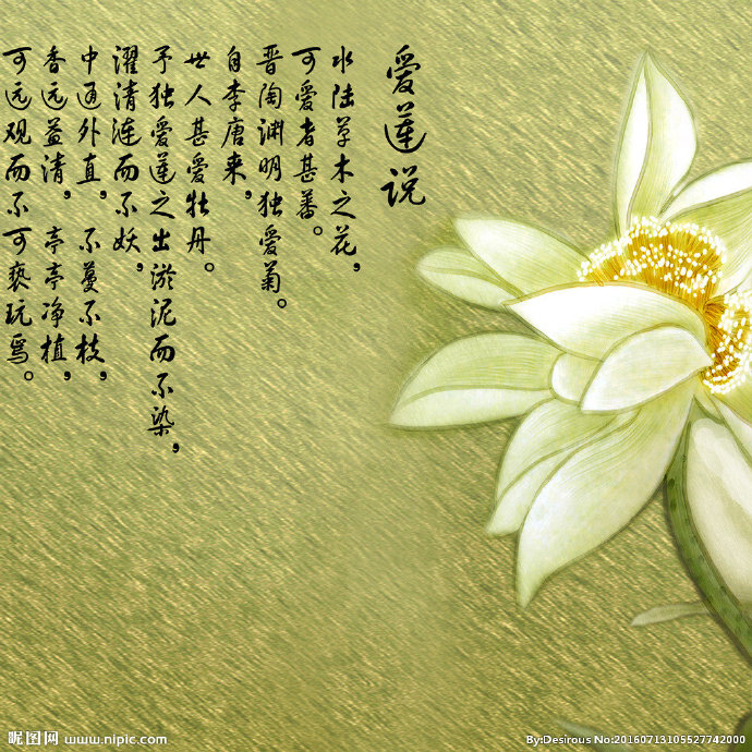 G手绘莲蓬 荷花