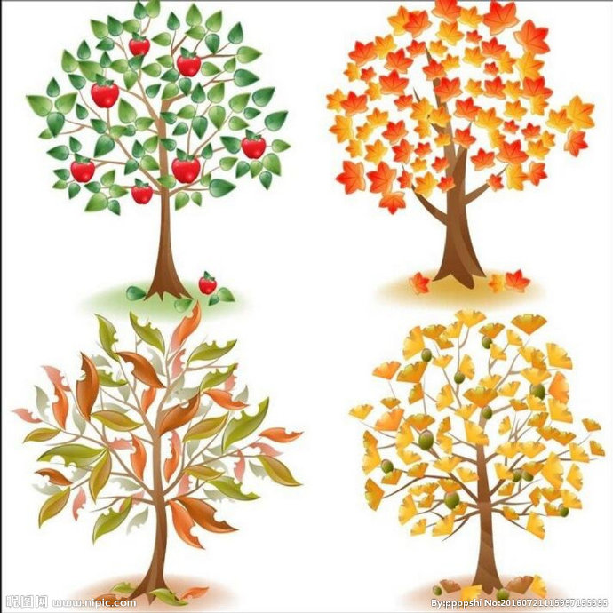 G彩色叶子 大树