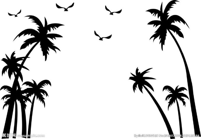 G椰子树海鸥，硅