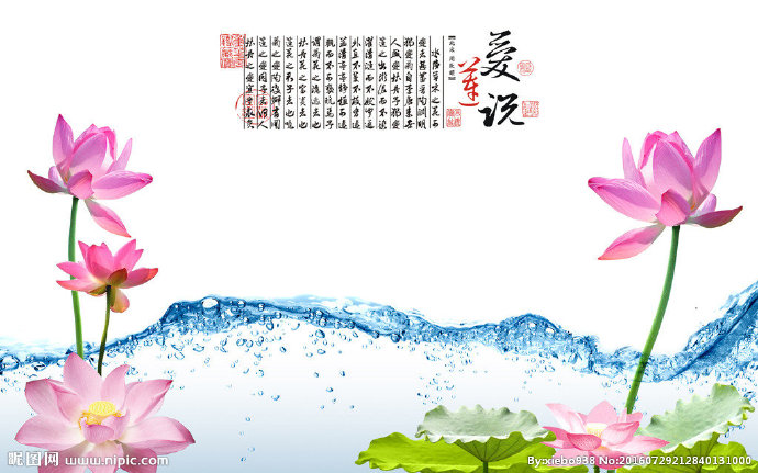 G爱莲说莲花流水