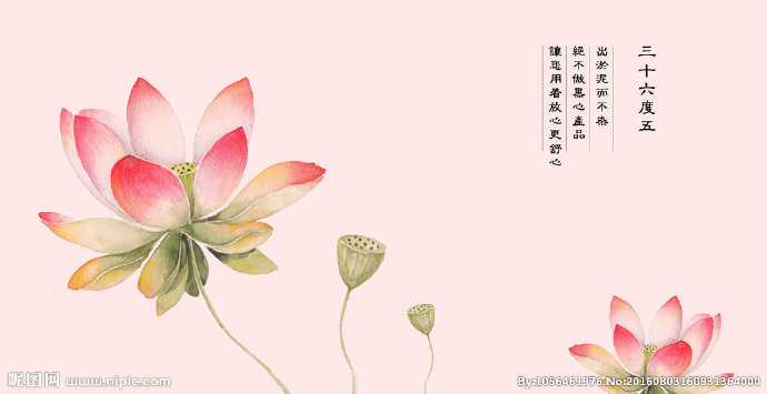 G优雅荷花背景墙