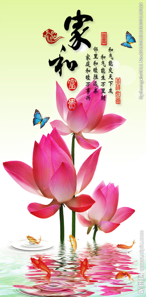 G3D家和富贵荷