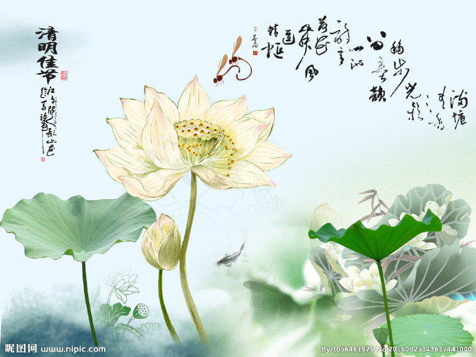 G淡雅荷花背景墙