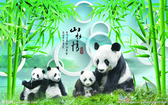 G熊猫竹子3D背