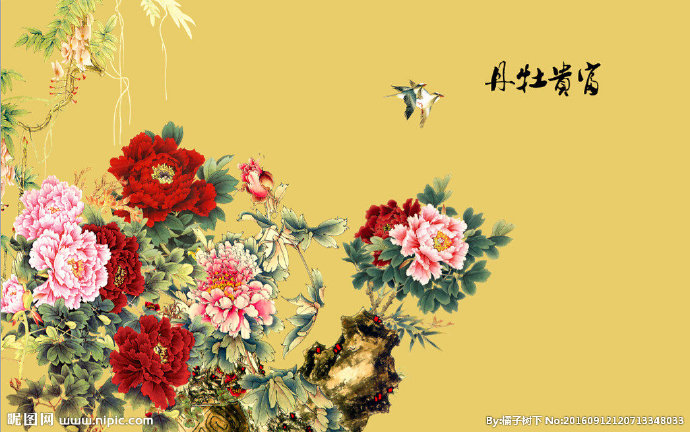 G花开富贵牡丹背