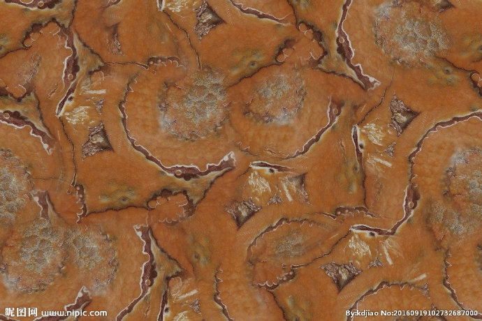 G大理石纹背景墙