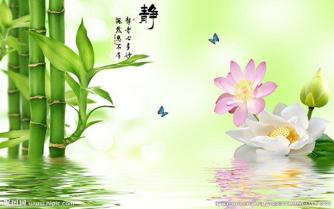 G中式竹子静清晰