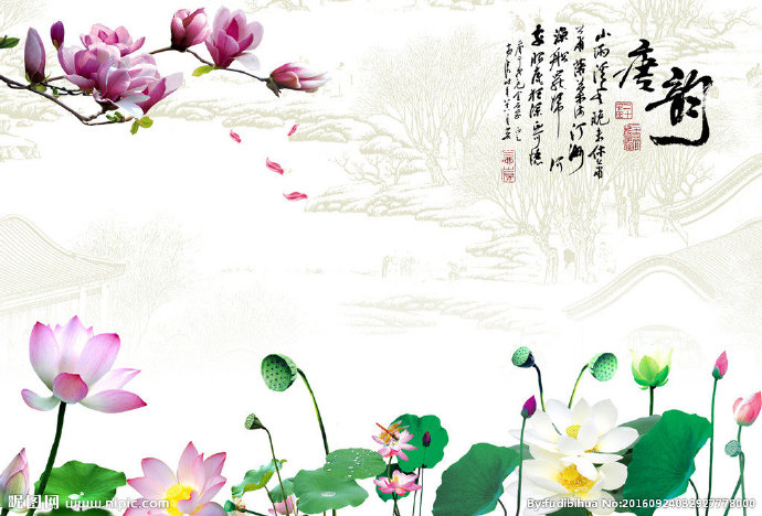 G唐韵  荷花背