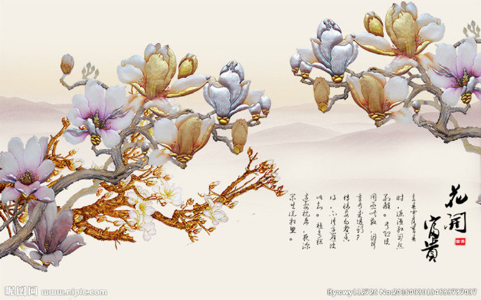 G花开富贵玉兰花