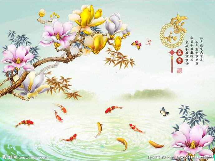 G玉兰九鱼图玉兰