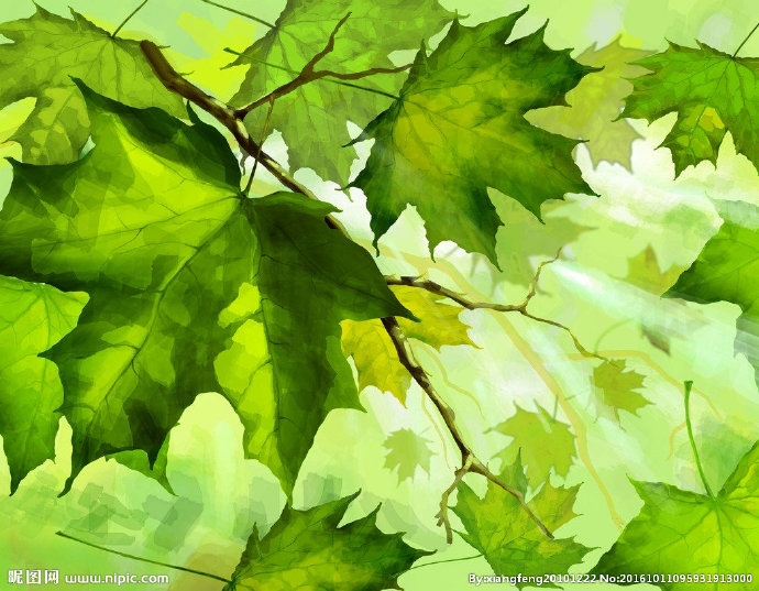 G树叶背景背景墙