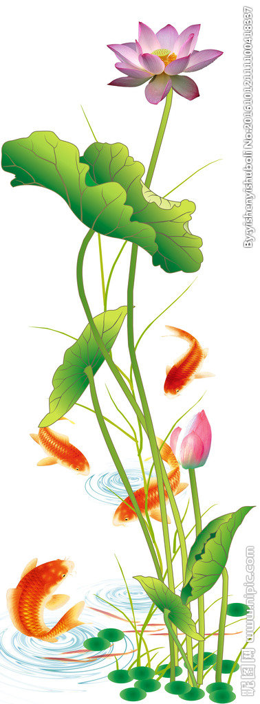 G荷花鲤鱼图莲花