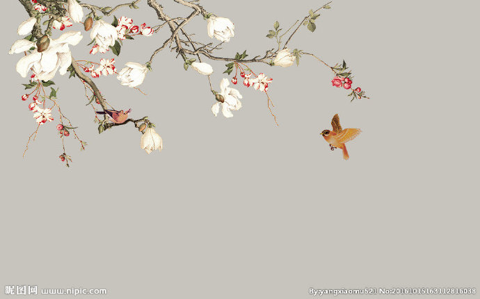 G中式玉兰花花鸟