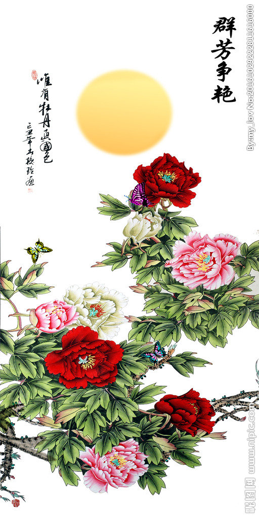 G群芳争艳牡丹素