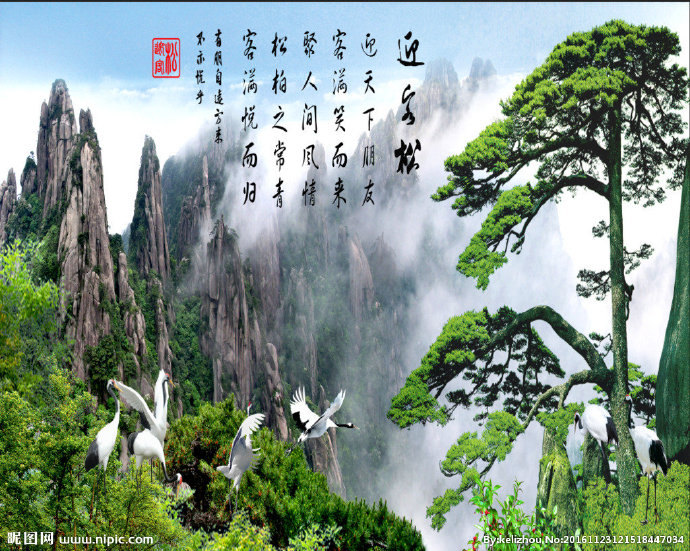 G迎客松 仙鹤背