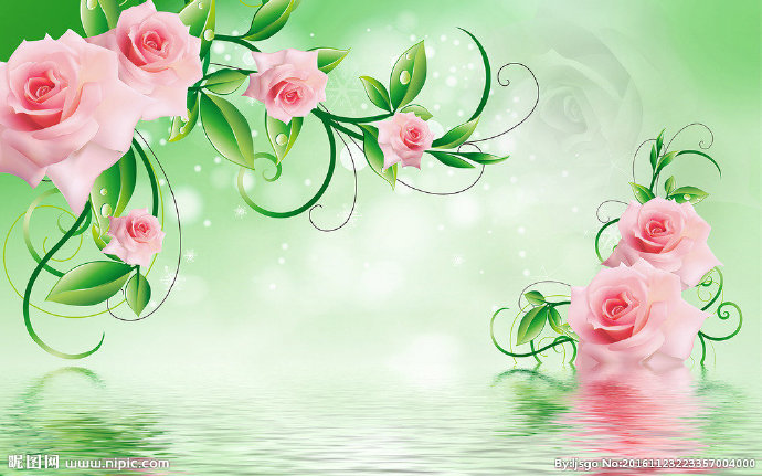 G花鸟背景墙背景