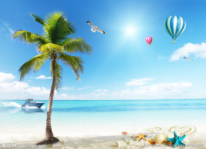 G椰树沙滩海景背