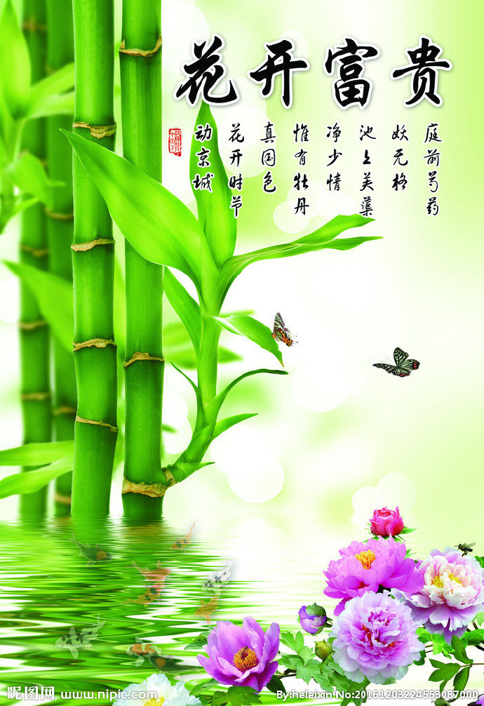 G花开富贵背景墙