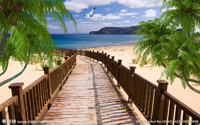 G椰树风情背景墙