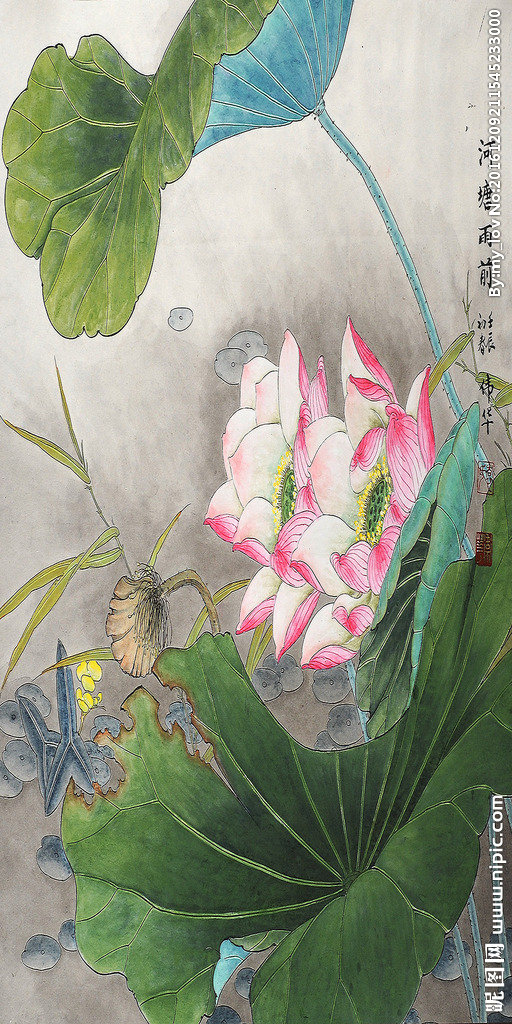 G荷花系列素材背