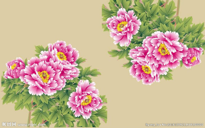 G矢量牡丹花卉背