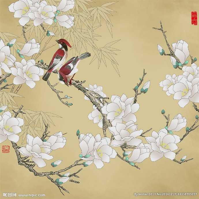 G中式玉兰花鸟影