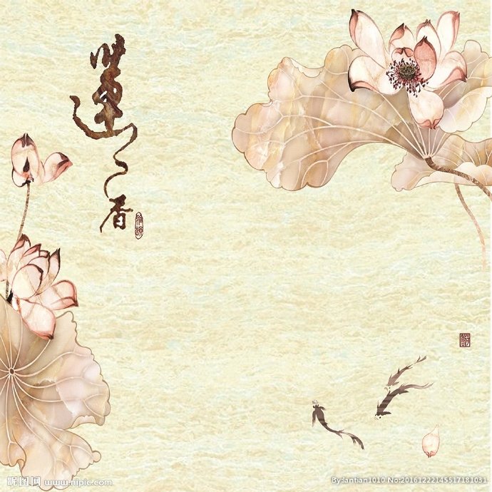 G中式荷花莲香影