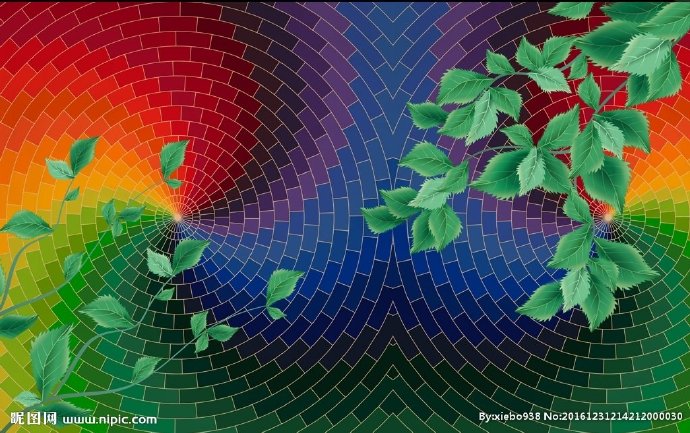 G彩色树精树叶背