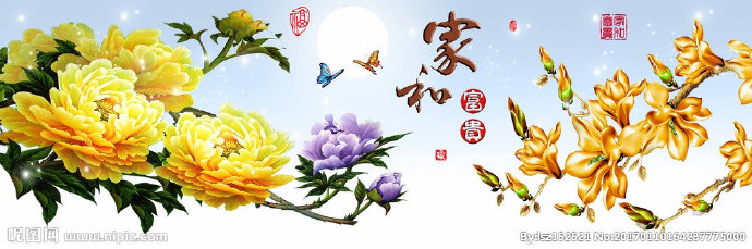 G十字绣钻石画花