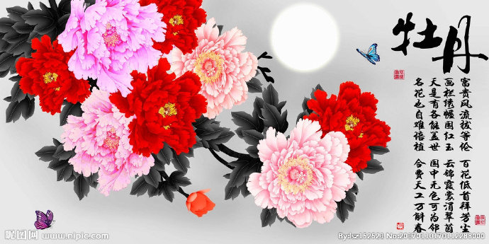G十字绣钻石画花