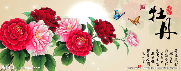 G十字绣钻石画花