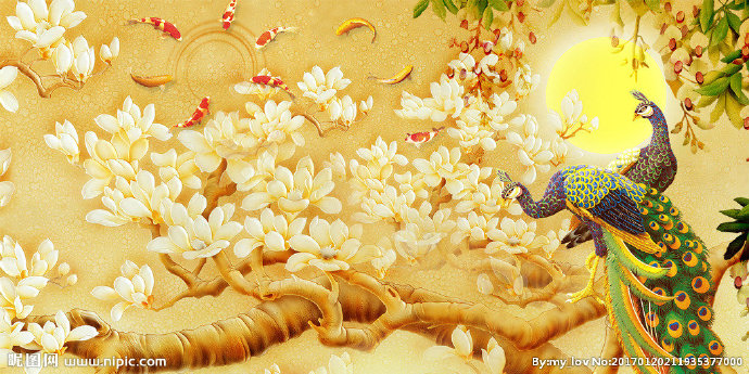 G玉兰孔雀花鸟背