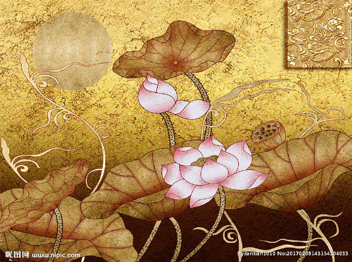 G金色荷花影视背