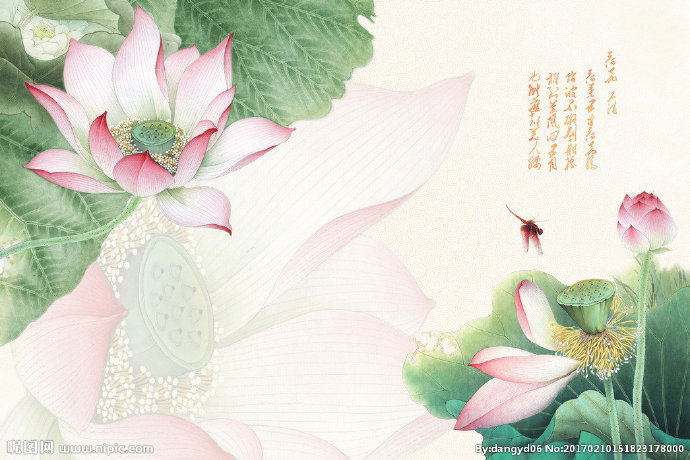 G荷花壁纸背景墙
