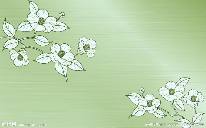 G精美欧式花朵电