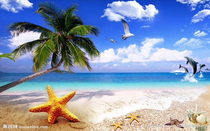 G椰子树海滩背景