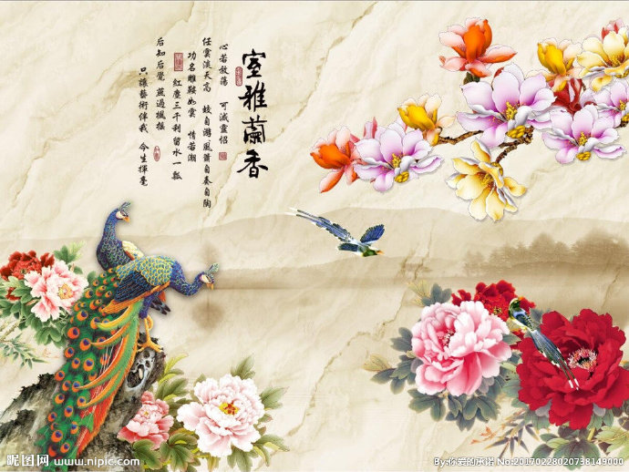 G牡丹玉兰图背景