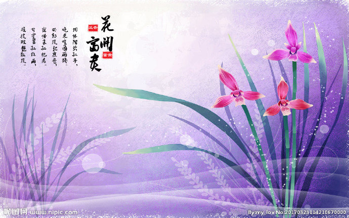 G花开富贵兰花素
