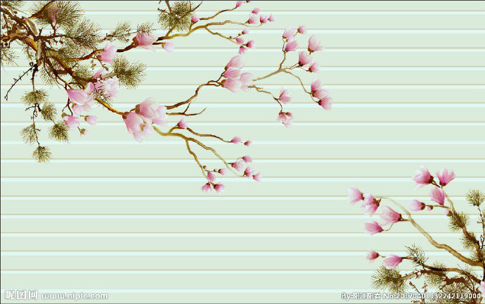 G松树玉兰花背景