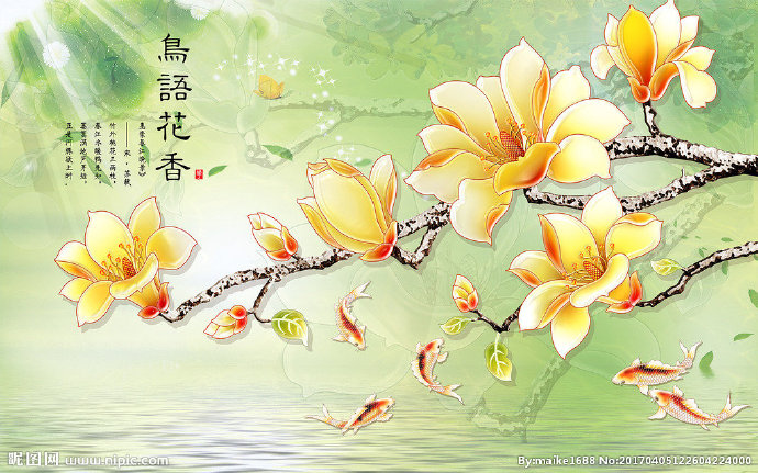 G家和富贵玉兰花