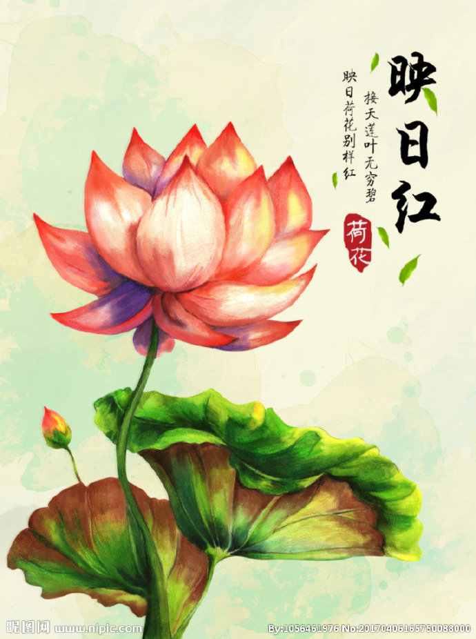 G手绘荷花背景墙