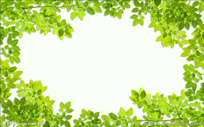 G绿色树叶边框背