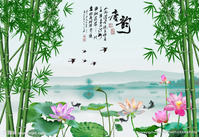 G家和富贵竹子山